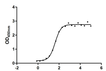 Binding activity of SARS-CoV-2-S antibodies